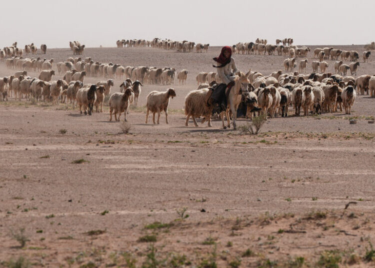 In Iraqi Desert, Two Israeli Outposts Were Kept Secret for Months