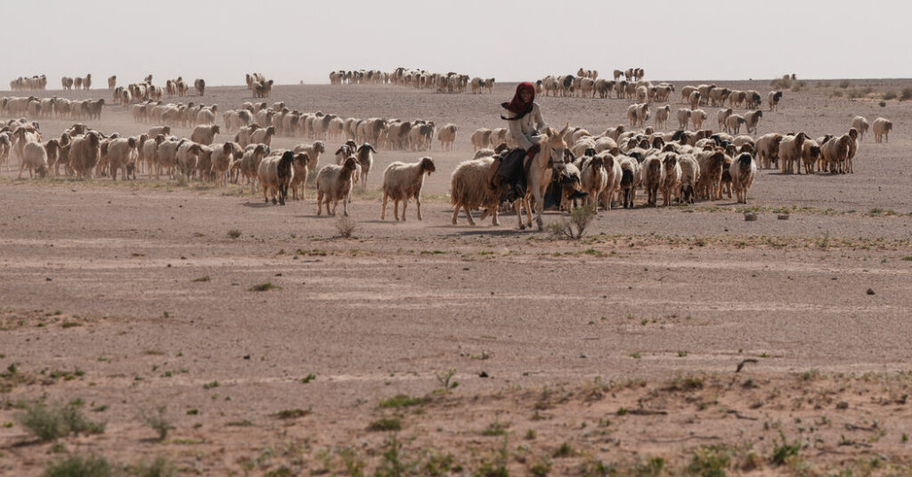 In Iraqi Desert, Two Israeli Outposts Were Kept Secret for Months