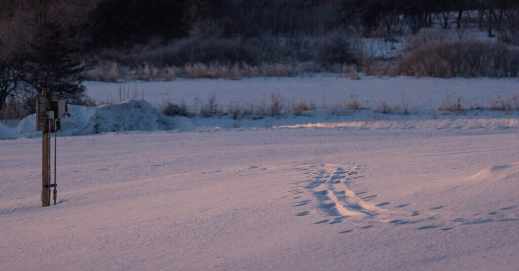 Retracing a War Hero’s Audacious Trek Across the Wilderness