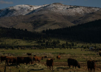 Oregon Prepares for a Challenging Summer of Water Shortages and High Fire Risk