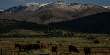 Oregon Prepares for a Challenging Summer of Water Shortages and High Fire Risk