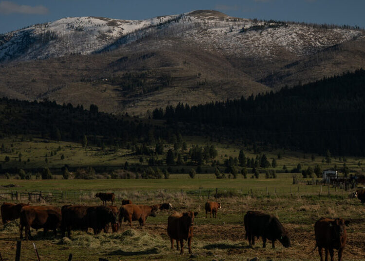 Oregon Prepares for a Challenging Summer of Water Shortages and High Fire Risk