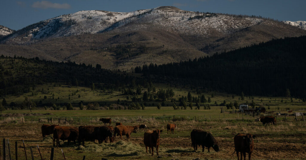 Oregon Prepares for a Challenging Summer of Water Shortages and High Fire Risk