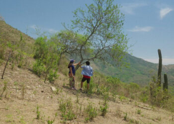 In ‘Our Land,’ an Eminent Filmmaker Turns Her Camera on a Killing