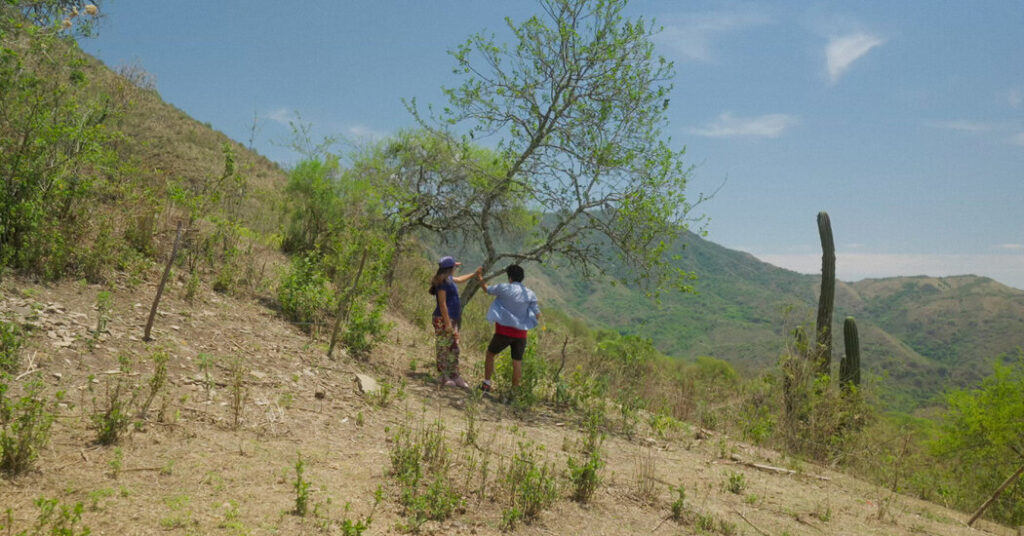 In ‘Our Land,’ an Eminent Filmmaker Turns Her Camera on a Killing