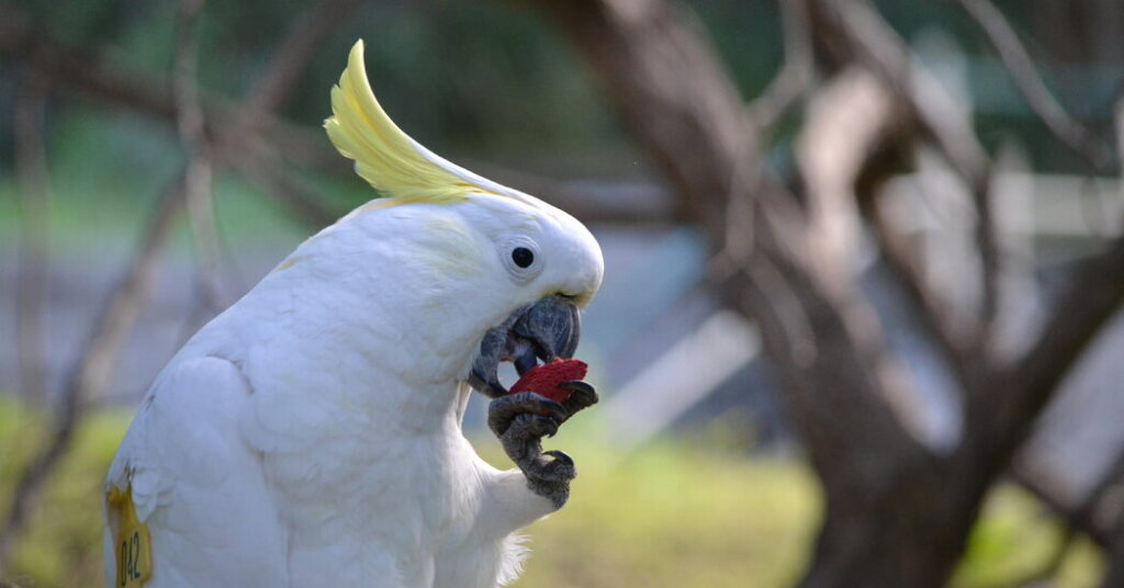 What’s Safe to Eat? Birds of a Feather Learn Together