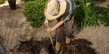 The Race Is On to Find the Treasure Buried in San Francisco