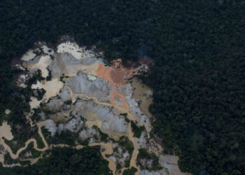 Illegal Miners Loot Amazon Rainforest for Critical Minerals