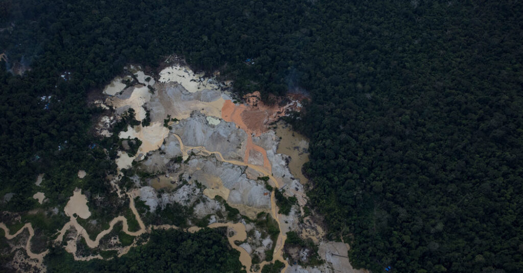 Illegal Miners Loot Amazon Rainforest for Critical Minerals