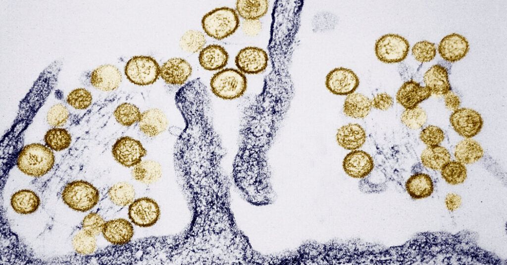 What Is Hantavirus, Which Is Linked to the Deaths of 3 People Aboard a Cruise Ship?