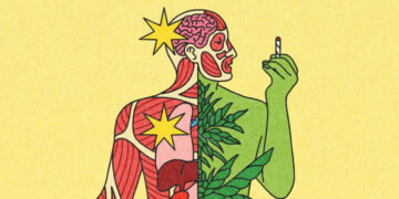 What Doctors Want You to Know About Cannabis and Health