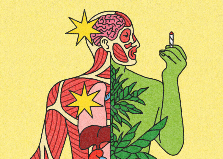 What Doctors Want You to Know About Cannabis and Health