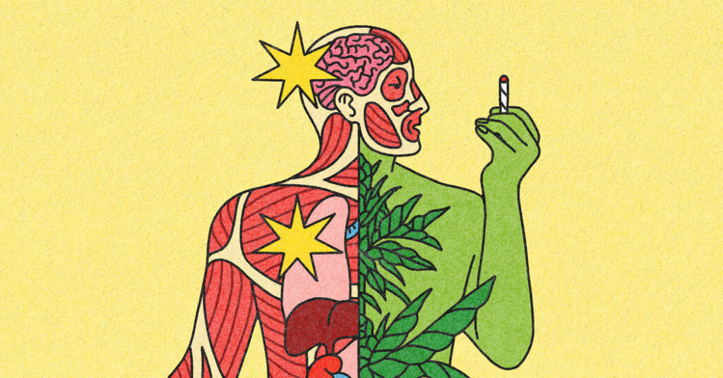 What Doctors Want You to Know About Cannabis and Health