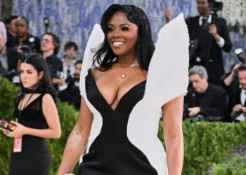 Some New York City Democrats Went to the Met Gala