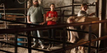 A Dairy Farm’s Last Days Expose a Broken System