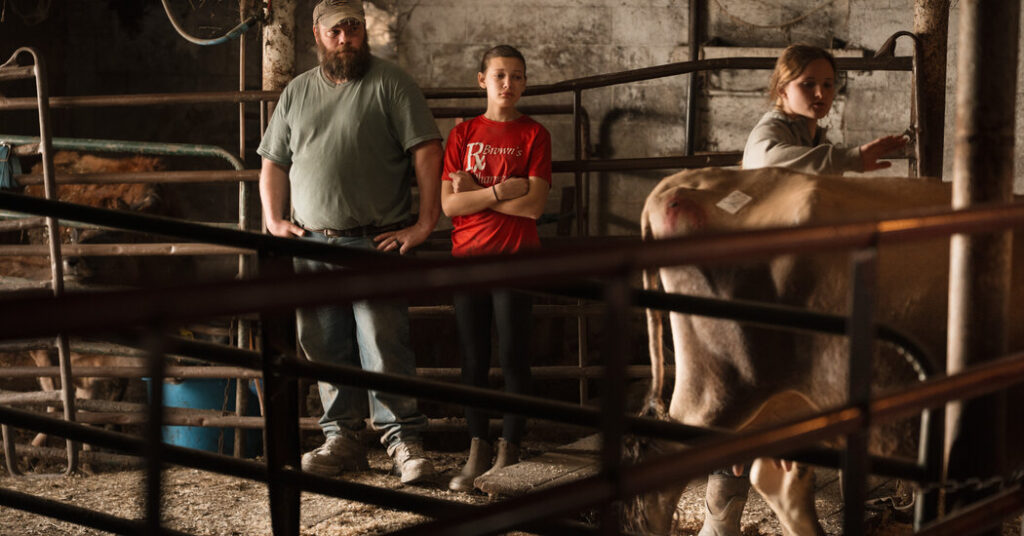 A Dairy Farm’s Last Days Expose a Broken System
