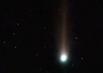 A Visitor From the Oort Cloud: Rare Comet Appears in Southern Skies
