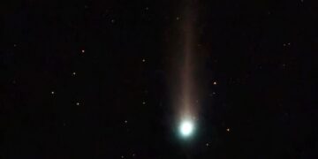 A Visitor From the Oort Cloud: Rare Comet Appears in Southern Skies