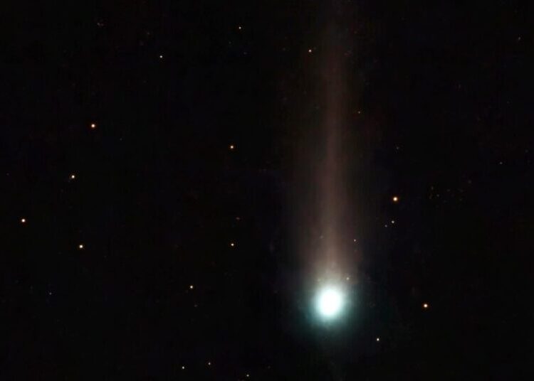 A Visitor From the Oort Cloud: Rare Comet Appears in Southern Skies