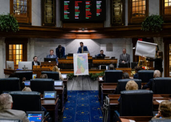 7 Elections on Tuesday Will Test Trump’s Power