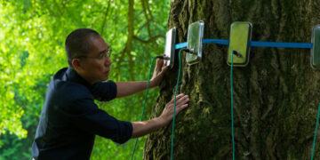 ‘Silent Friend’ Review: What a Ginkgo Can Teach Us