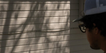 In Idaho’s Suburbs, a Rat Invasion Tests the Limits of Small Government