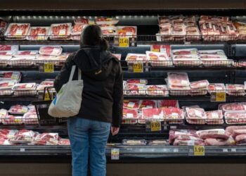 Justice Dept. Settles Case Against Provider of Meat Industry Data