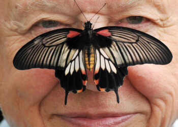 David Attenborough, a Voice of Nature, Turns 100