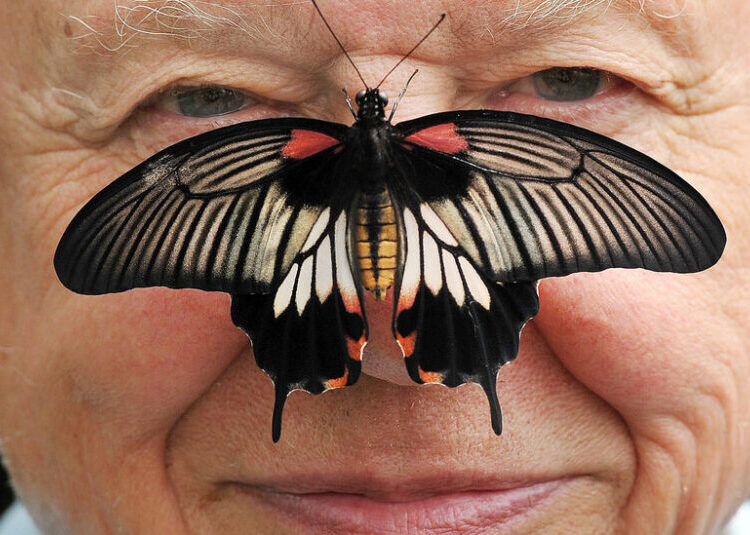 David Attenborough, a Voice of Nature, Turns 100