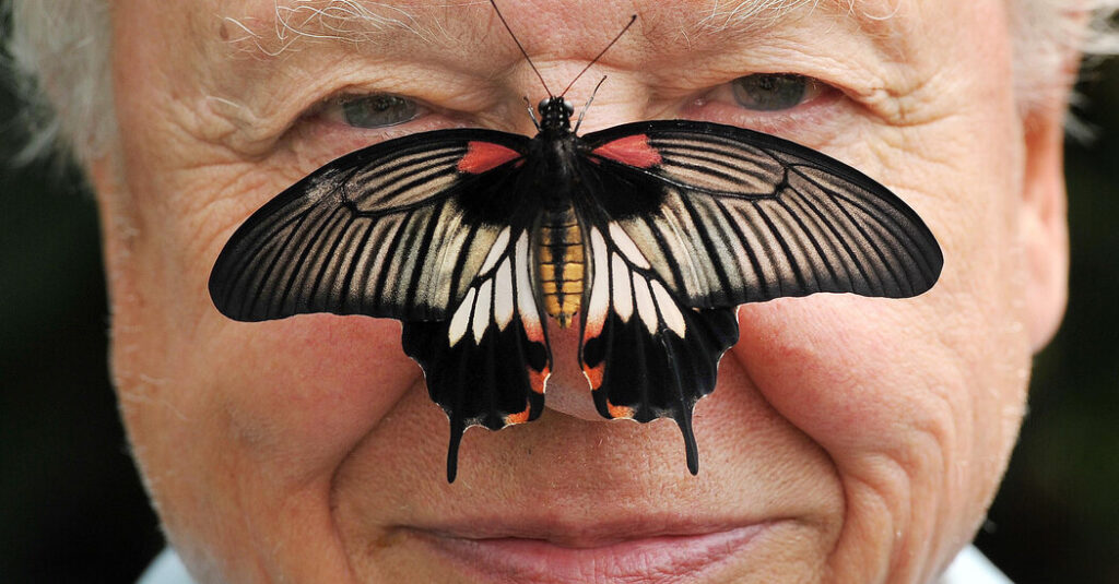 David Attenborough, a Voice of Nature, Turns 100