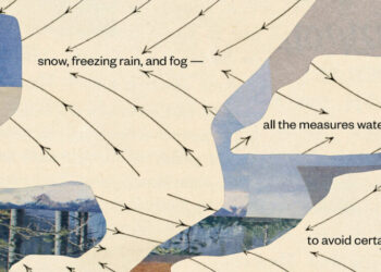 The Water in These Poems May Be Poisoned, but Beauty Persists