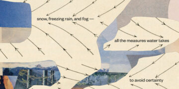 The Water in These Poems May Be Poisoned, but Beauty Persists