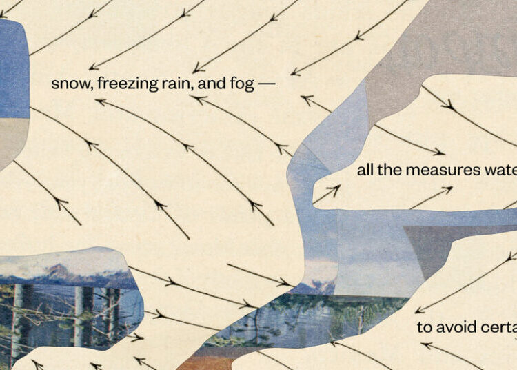 The Water in These Poems May Be Poisoned, but Beauty Persists