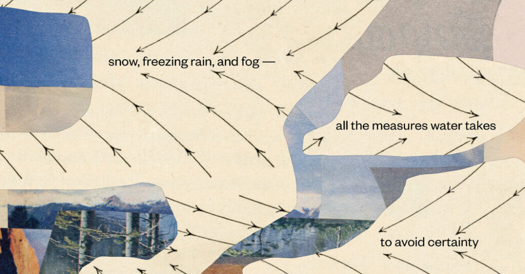 The Water in These Poems May Be Poisoned, but Beauty Persists