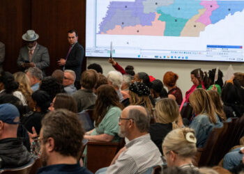 How Minority Districts Fueled the G.O.P.’s Southern Ascendancy in Congress