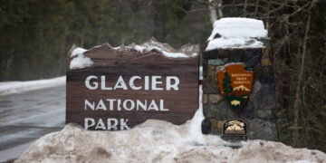 Hiker Killed by Bear in ‘Surprise Encounter’ at Glacier National Park, Officials Say