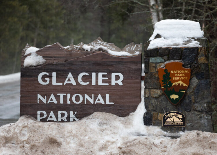 Hiker Killed by Bear in ‘Surprise Encounter’ at Glacier National Park, Officials Say