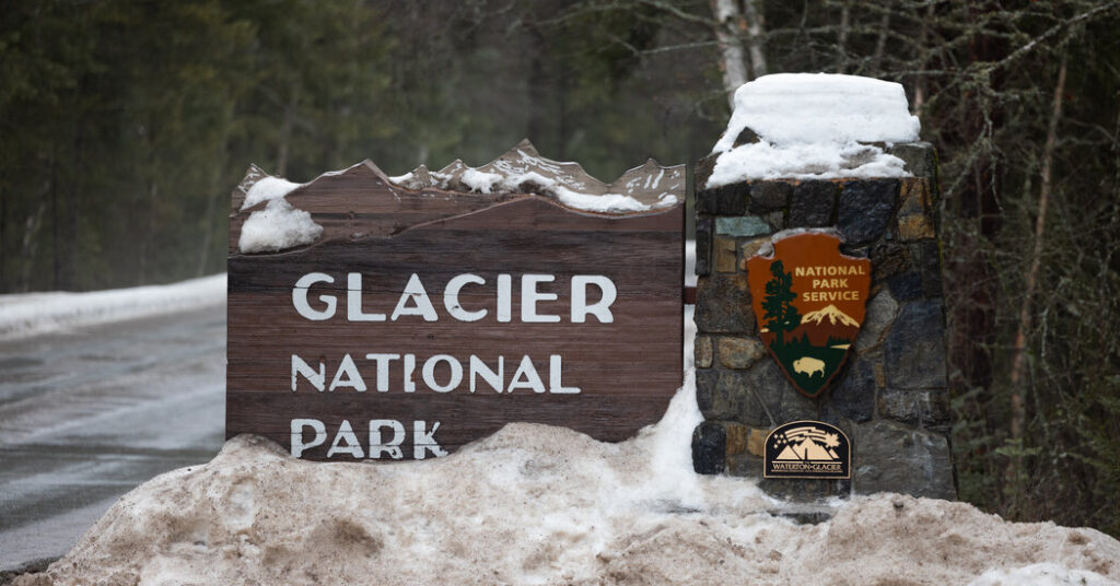 Hiker Killed by Bear in ‘Surprise Encounter’ at Glacier National Park, Officials Say