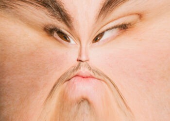 I Regret to Inform You of the Better Face Inside Your Face
