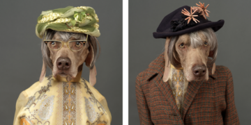 What if You Could Give Your Dog a Longer Life?