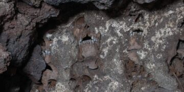 A Monument to Chocolate Is Wrapped in Layers of Mexican History