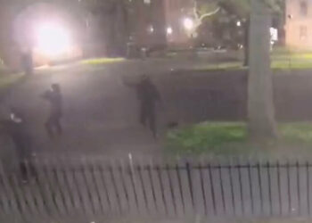 Deadly Gang Feud Left Bystander Paralyzed in Brooklyn