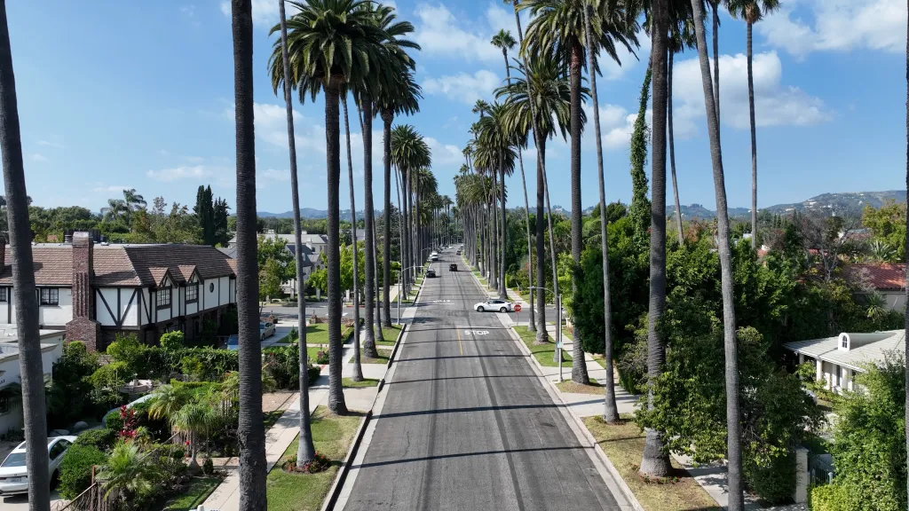 Aerial landscape of a Beverly Hills street lined with tall palm trees, houses, and cars.
