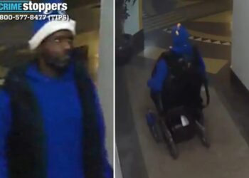 Callous crook steals motorized wheelchair from NYC building —uses it for slow getaway: cops