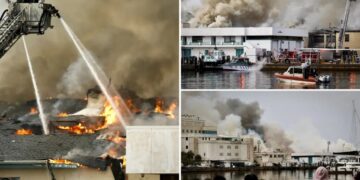Massive fire engulfs science lab at University of South Florida St. Petersburg: ‘Total devastation’
