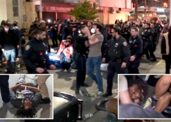 Anti-ICE protesters mob NYC hospital as 9 activists arrested in chaotic clash with law enforcement