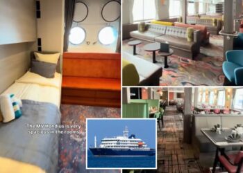 Cruise ship infected with terrifying hantavirus strain that has 40% mortality rate, WHO believes — here’s what happens next