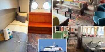 Cruise ship infected with terrifying hantavirus strain that has 40% mortality rate, WHO believes — here’s what happens next