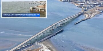 Two kayakers found dead off Southampton a day after going missing