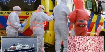 CDC classifies Hantavirus outbreak as a ‘Level 3’ emergency response: report